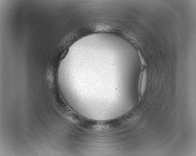 X0000074240215200609222107