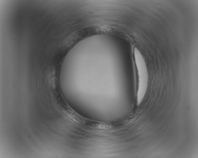 X0000074240223200609222107
