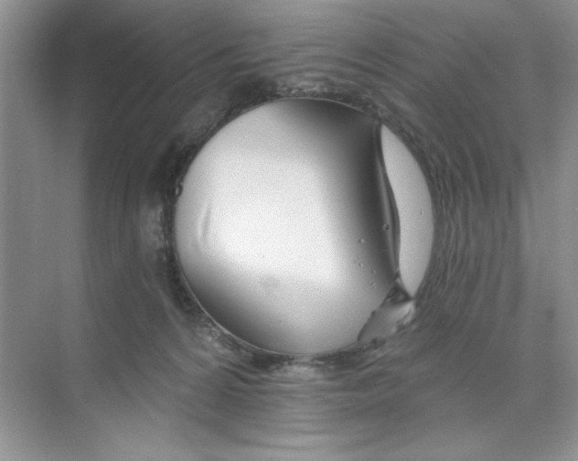 X0000074240224200609222107