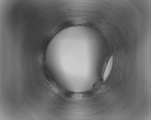 X0000074240227200609222107