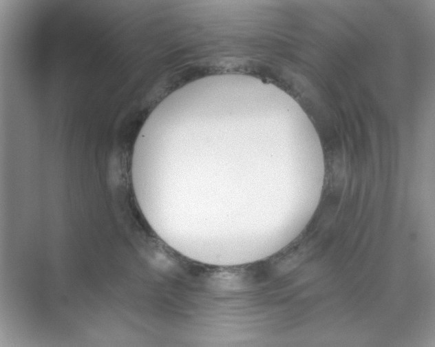 X0000074240236200609222107