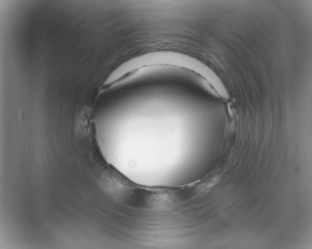 X0000074240237200609222107