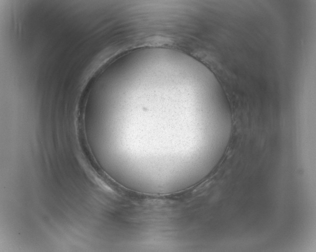X0000074240242200609222106