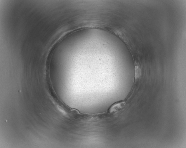 X0000074240243200609222106