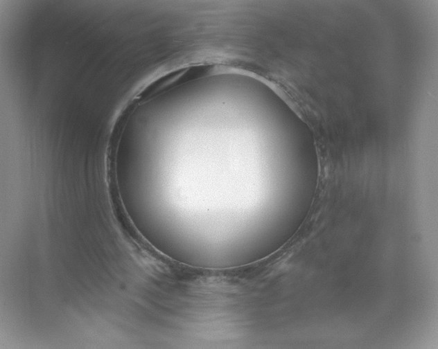 X0000074240244200609222106
