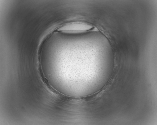 X0000074240245200609222106