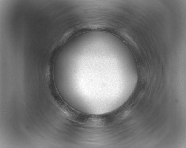 X0000074240260200609222106
