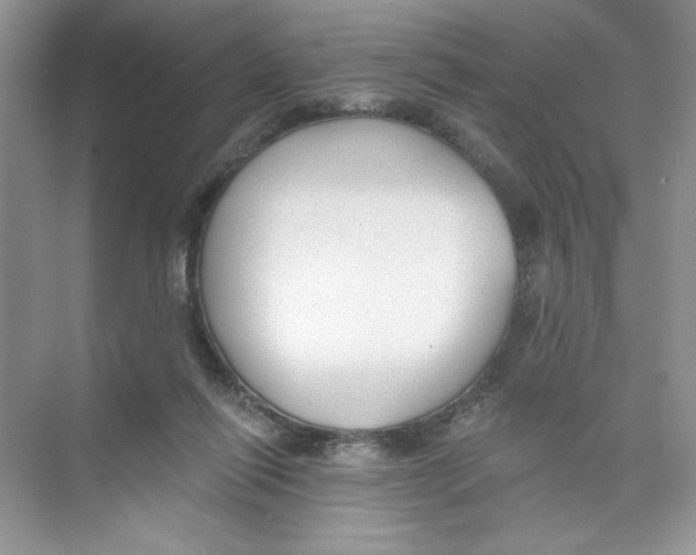 X0000074240262200609222106