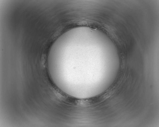 X0000074240273200609222107