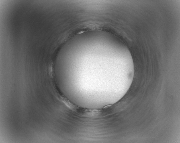 X0000074240288200609222107