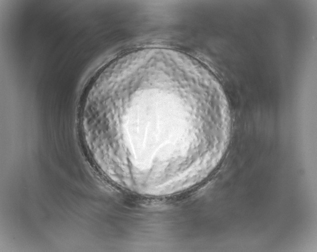 X0000074240293200609222106
