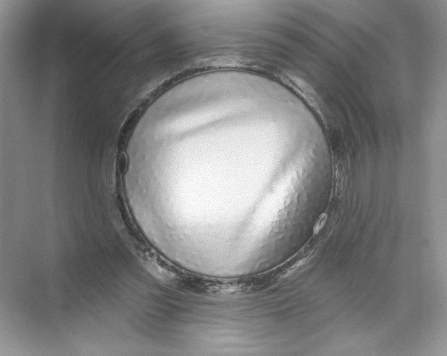 X0000074240301200609222106