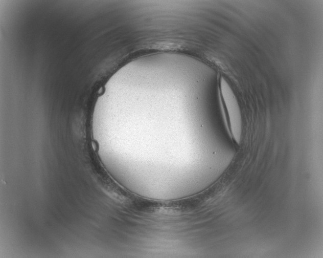 X0000074240303200609222106