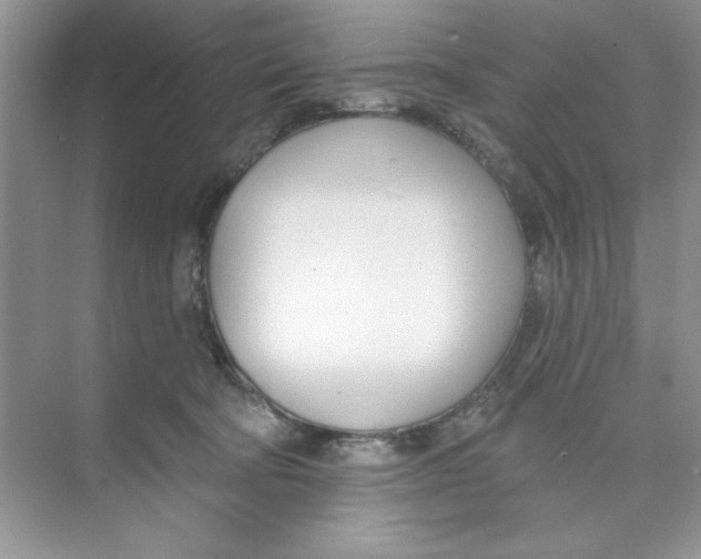 X0000074240322200609222106