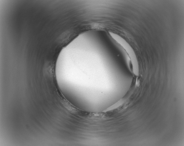 X0000074240329200609222105