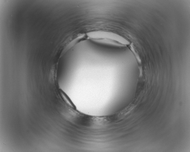 X0000074240333200609222105