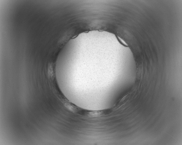 X0000074240335200609222105