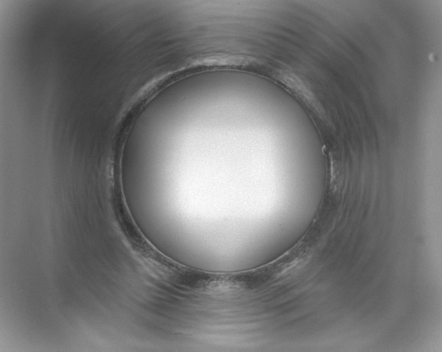 X0000074240348200609222105