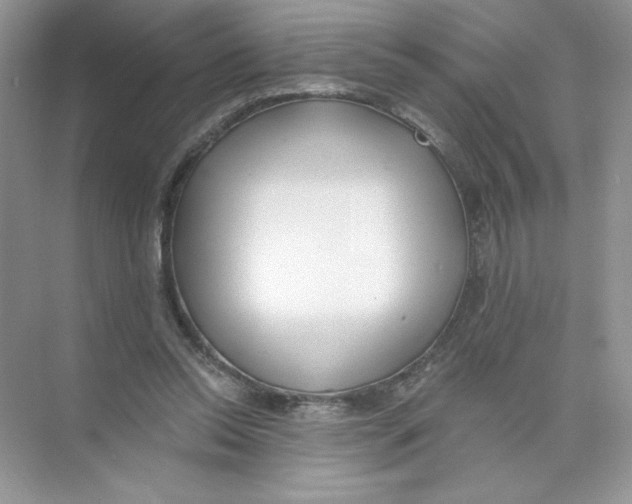 X0000074240350200609222105