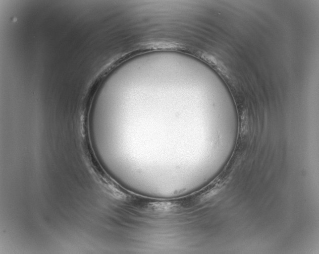 X0000074240351200609222105
