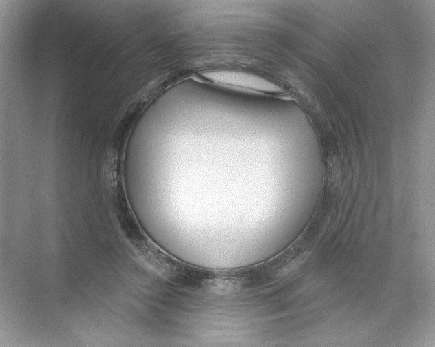 X0000074240356200609222105