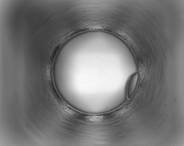 X0000074240359200609222105