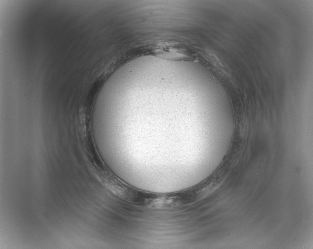 X0000074240366200609222105
