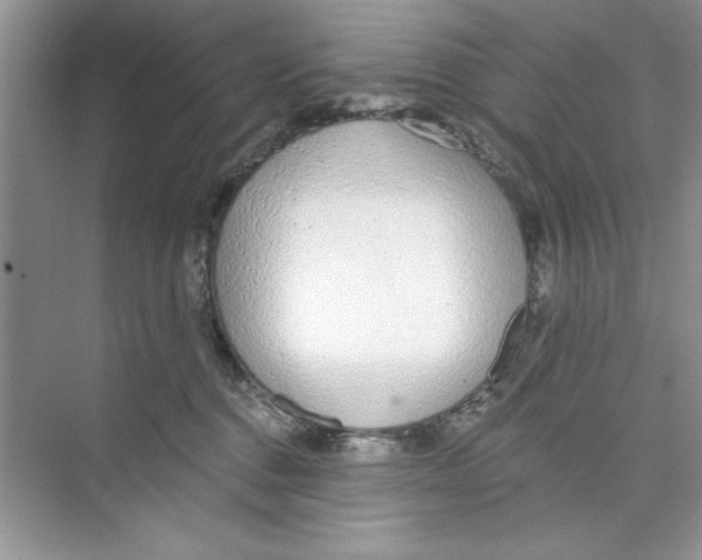 X0000074240376200609222105