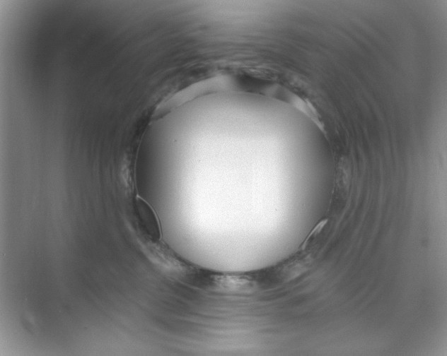 X0000074240380200609222105