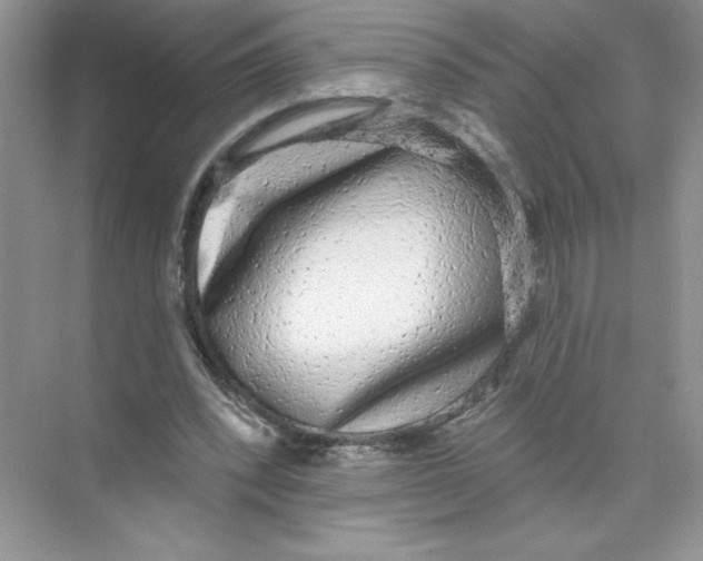 X0000074240392200609222104