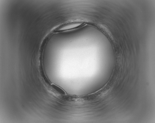 X0000074240395200609222104
