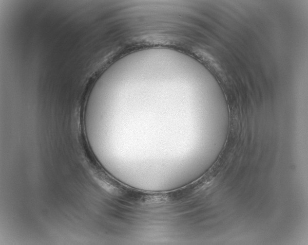 X0000074240398200609222104