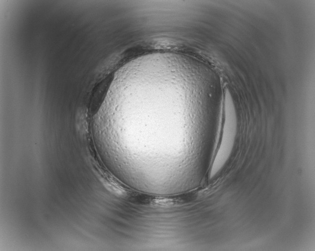 X0000074240413200609222104