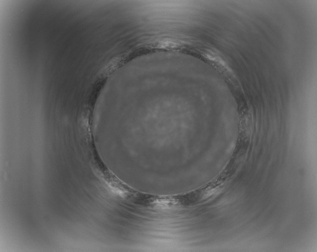 X0000074240415200609222104