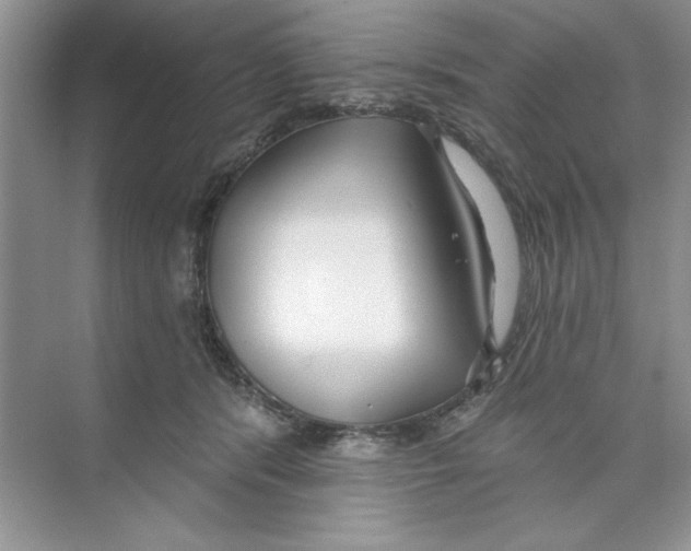 X0000074240416200609222104