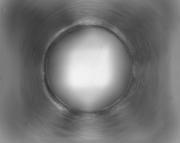 X0000074240438200609222103
