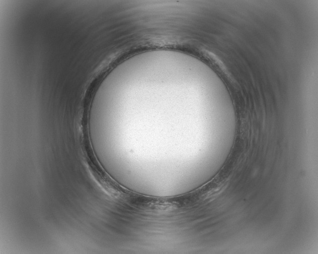 X0000074240443200609222103