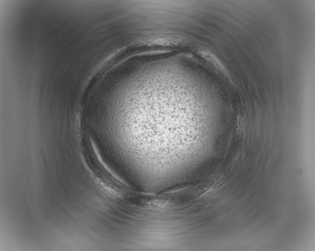 X0000074240444200609222103