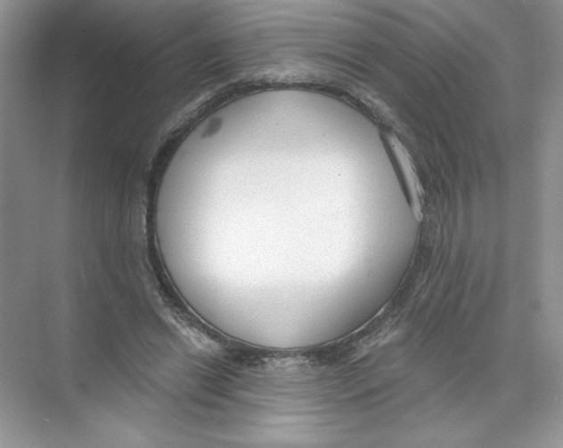 X0000074240446200609222103