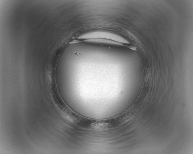 X0000074240452200609222103