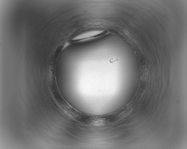 X0000074240456200609222103