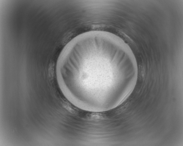 X0000074240475200609222104