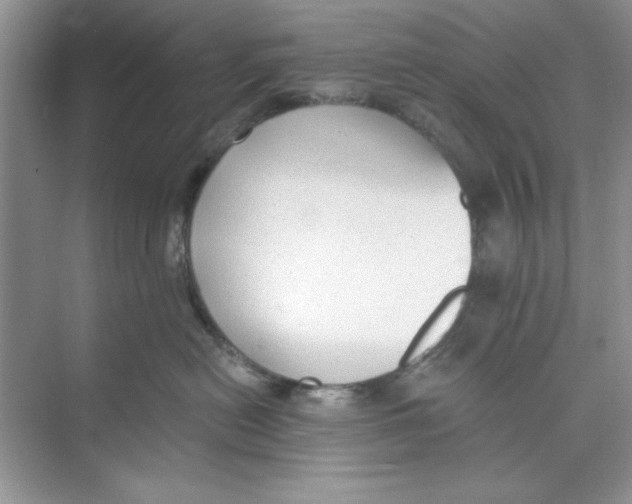 X0000074240478200609222104