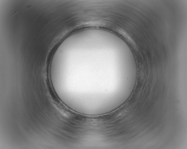 X0000074240486200609222103