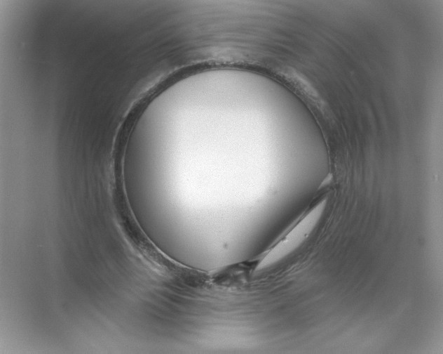 X0000074240488200609222103