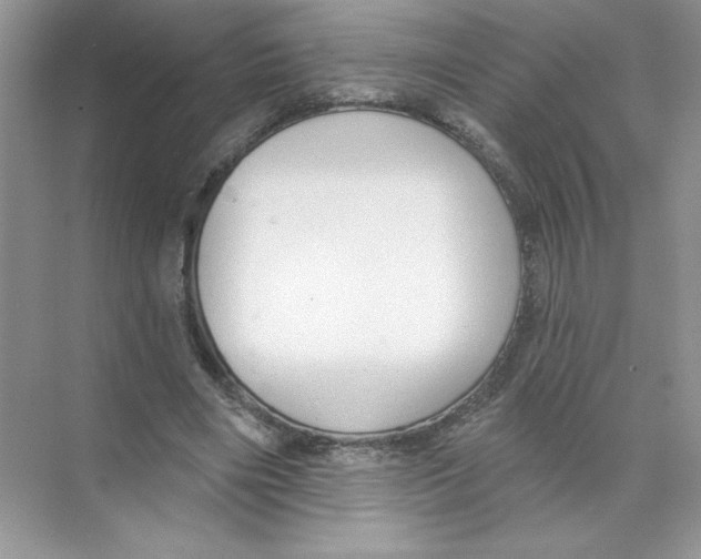 X0000074240490200609222103