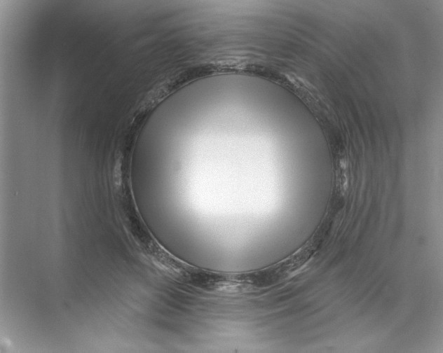 X0000074240504200609222102