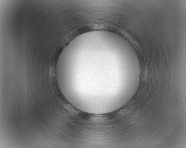 X0000074240521200609222102