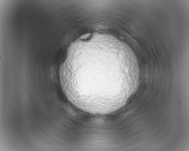 X0000074240523200609222102