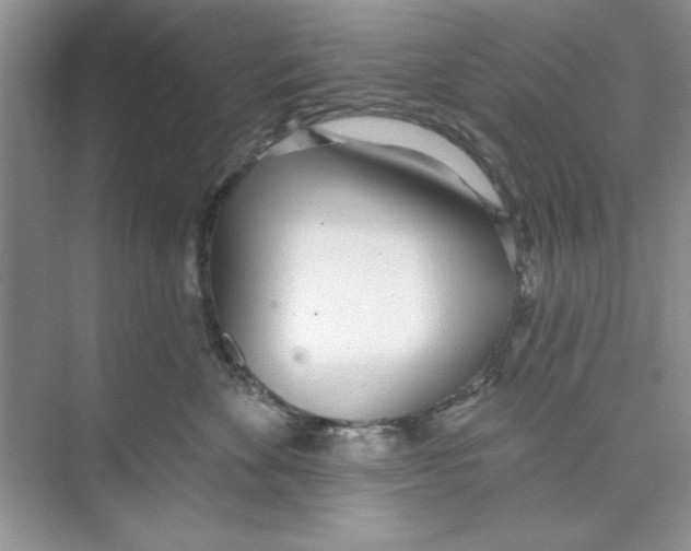 X0000074240524200609222102